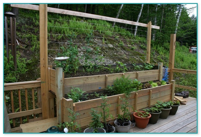 Vegetable Planters For Deck