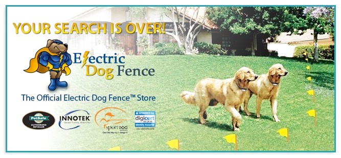 Best Electric Dog Fence