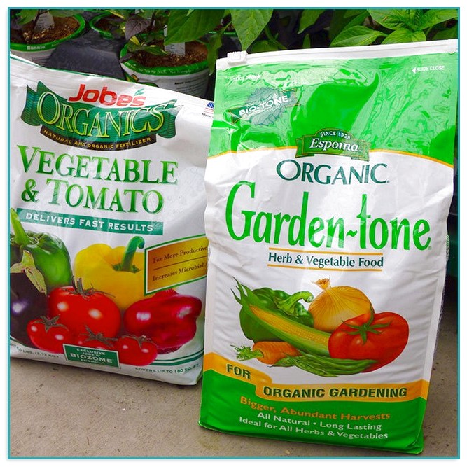 Best Organic Fertilizer For Vegetable Garden