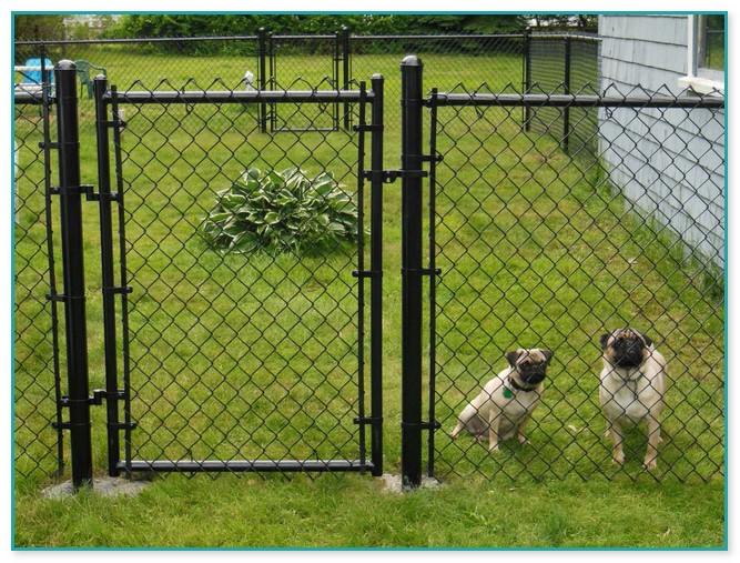 Chain Link Fence For Dogs