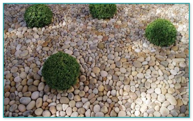 Decorative Pebbles For Gardens | Home Improvement