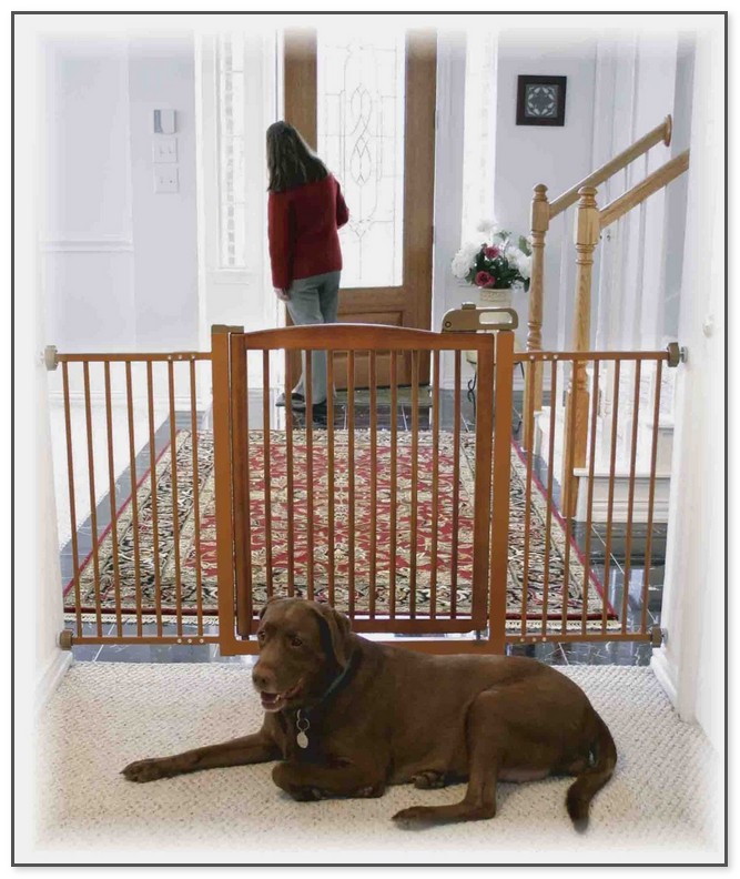 Dog Gates For Small Dogs
