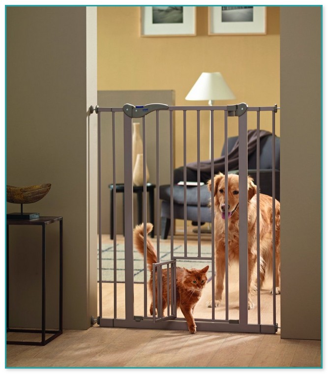 Door Gates For Dogs