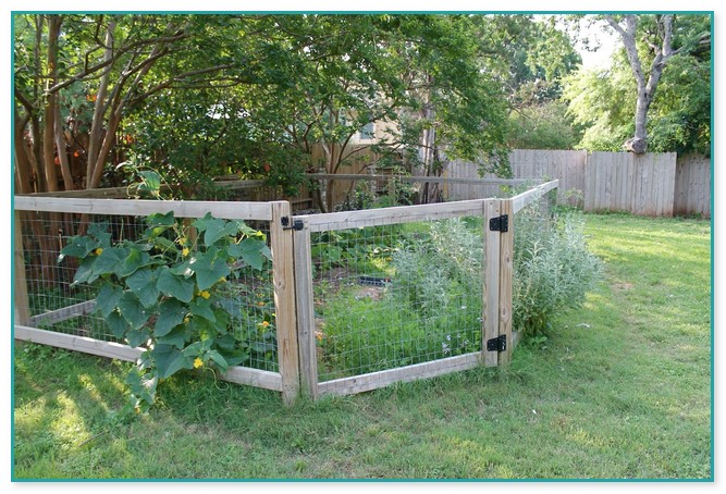 Fencing Ideas For Vegetable Gardens