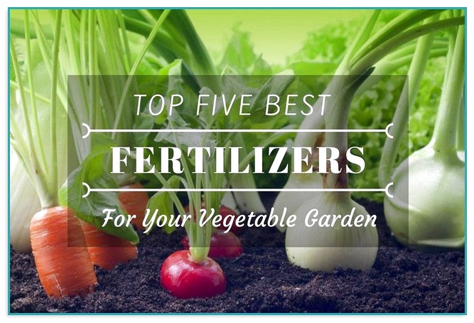Fertilizer For Vegetable Gardens