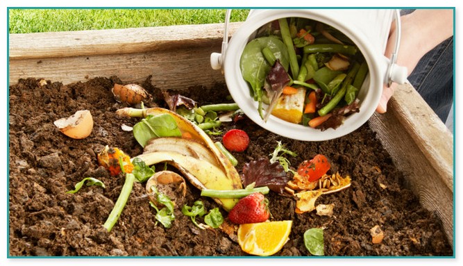 Fruit And Vegetable Compost