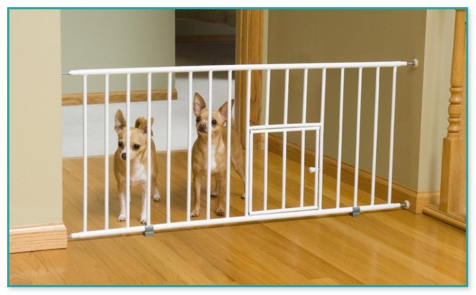 Great Door Gates For Dogs