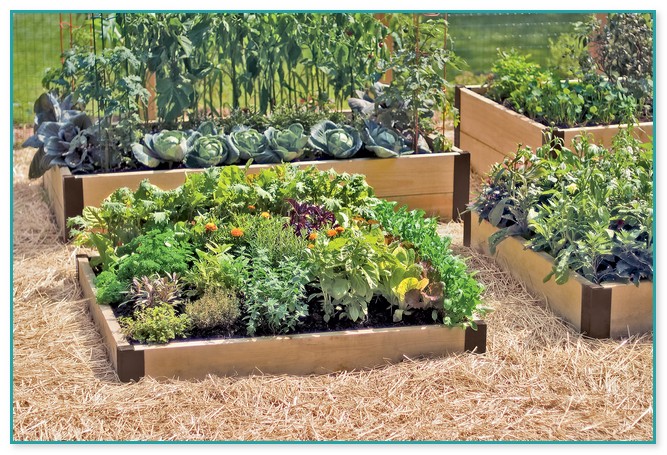 Great Soil For Raised Vegetable Garden Beds