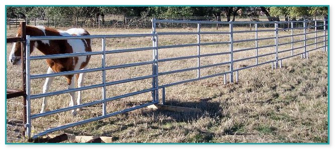 Horse Fencing For Sale