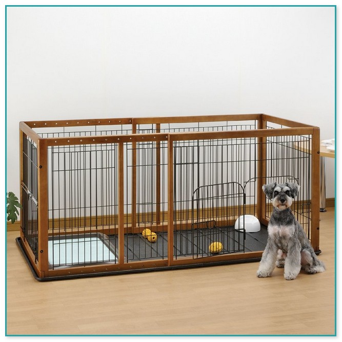 Indoor Dog Fence Ideas