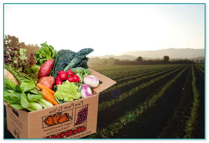 Organic Fruits And Vegetables Delivery