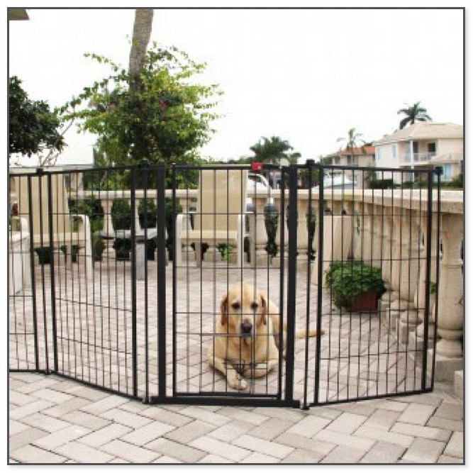 Outdoor Gates For Dogs