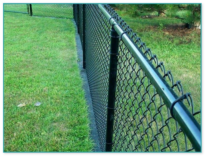 Paint Chain Link Fence