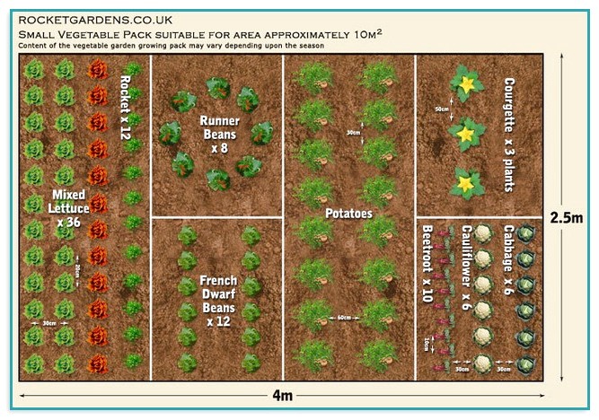 Planning A Small Vegetable Garden