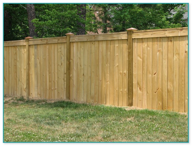Wood For Privacy Fence