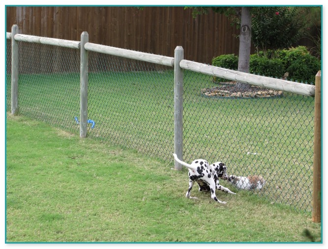 Yard Fencing For Dogs