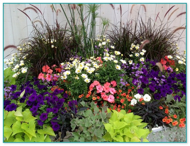 Container Flower Gardening Ideas 10