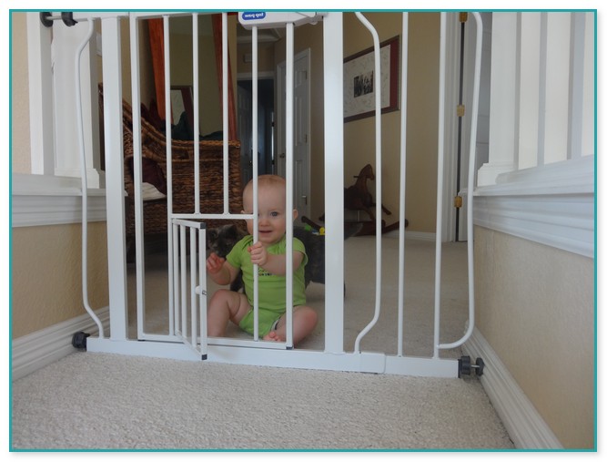 Baby Gates With Cat Doors 2