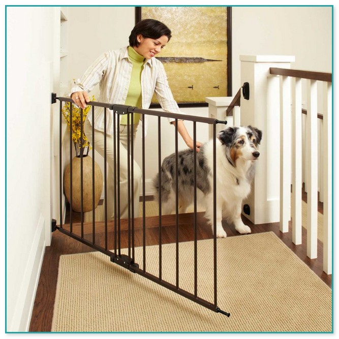 Baby Gates With Pet Opening