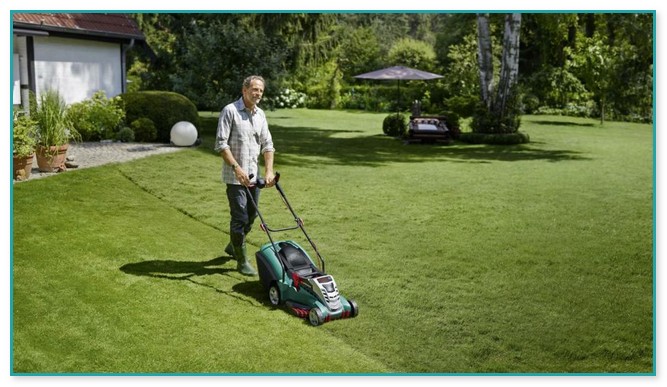 Best Lawn Mower For Large Lawns