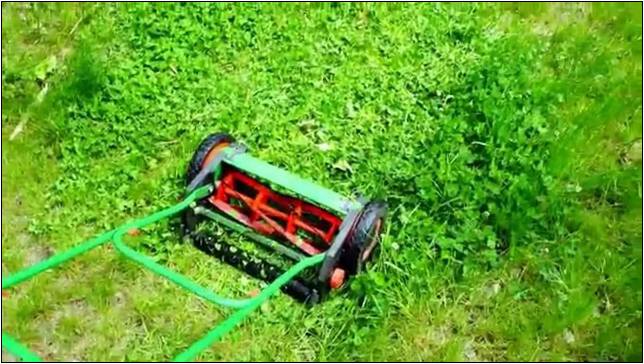 Best Reel Lawn Mowers 2017