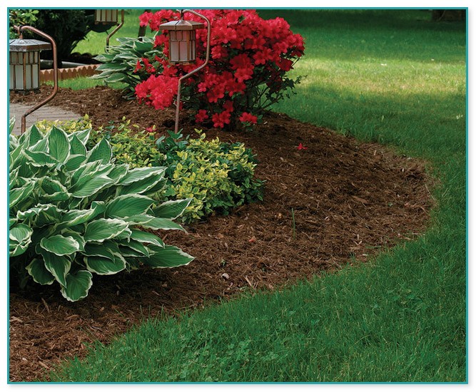 Best Wood Chips For Landscaping
