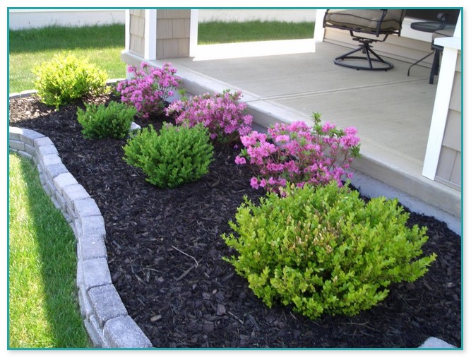 Cheap Plants For Landscaping