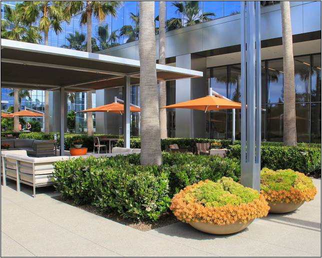Commercial Landscape Contractors San Diego
