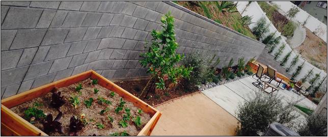 Commercial Landscaping Companies Los Angeles
