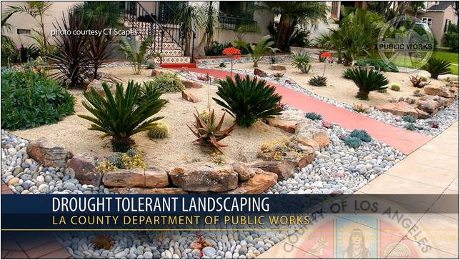 Drought Tolerant Landscape Design Pictures
