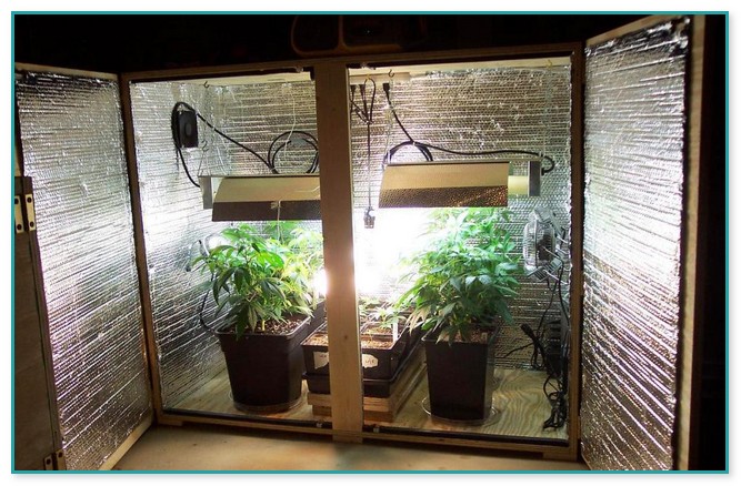 Homegrown Hydroponics Grow Box Systems