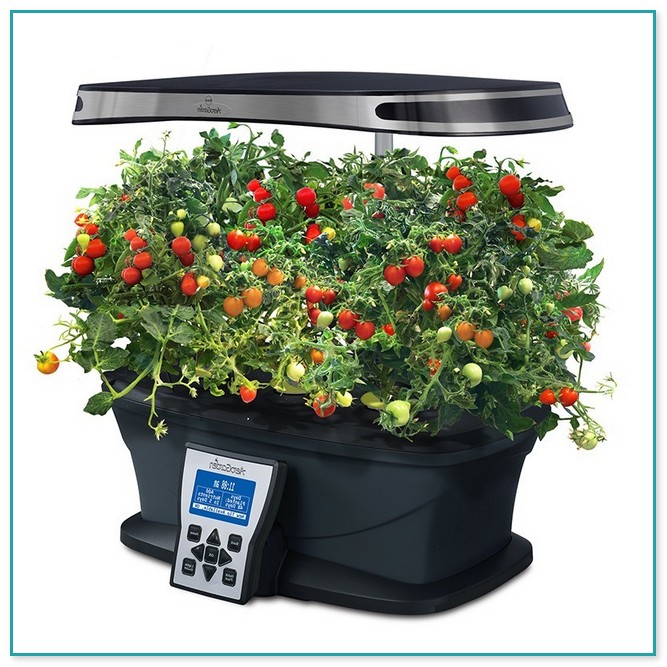 Indoor Tomato Garden Kit