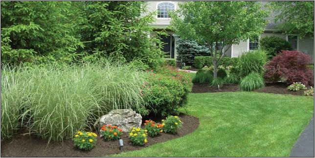 Landscapers In South New Jersey