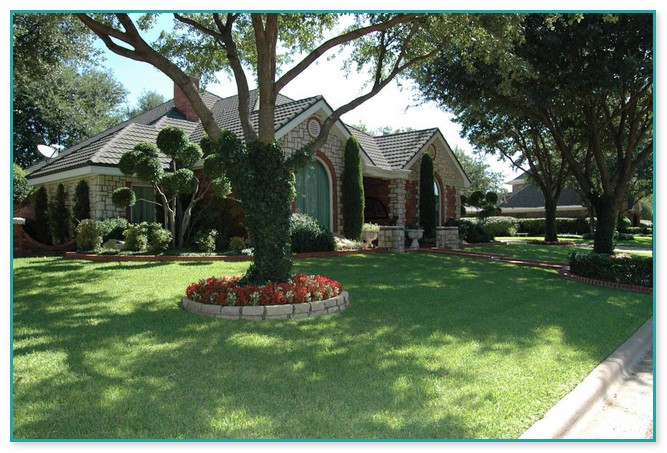 Landscaping Companies In Dallas