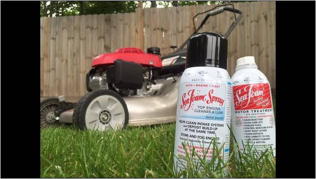 Lawn Mower Fuel System Cleaner