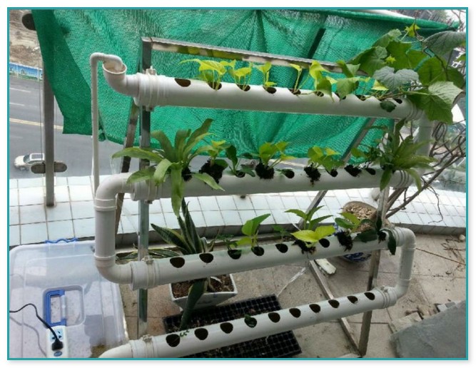 Small Home Hydroponic Systems