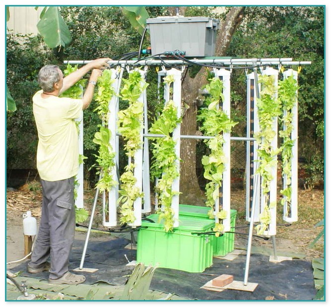 Vertical Grow Systems Hydroponics
