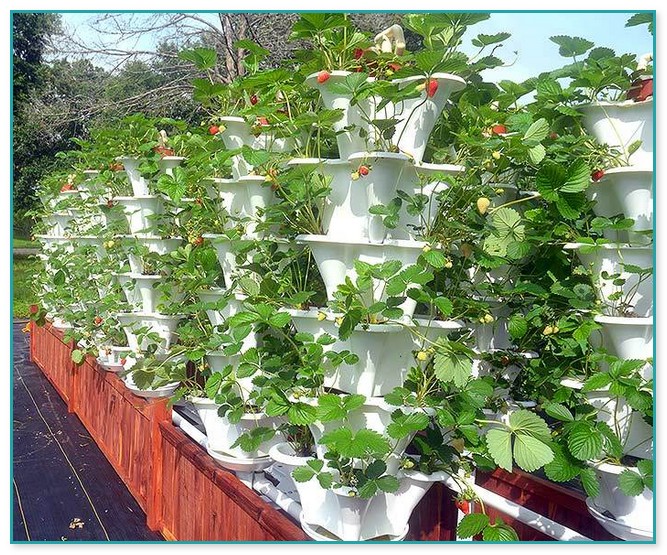 Vertical Hydroponic Gardening Systems